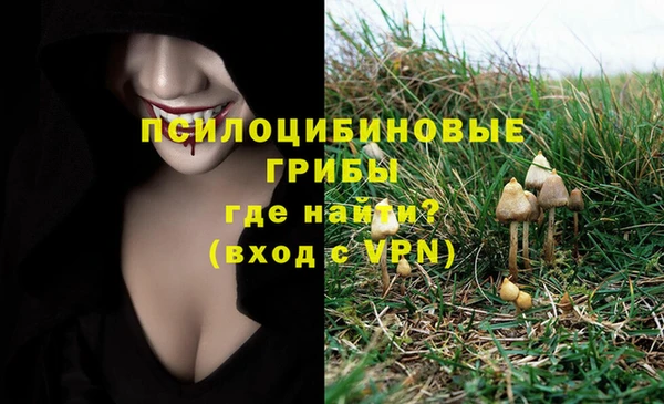 ГАЛЛЮЦИНОГЕННЫЕ ГРИБЫ Белокуриха