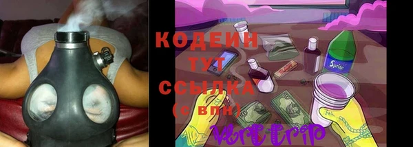 ГАЛЛЮЦИНОГЕННЫЕ ГРИБЫ Белокуриха