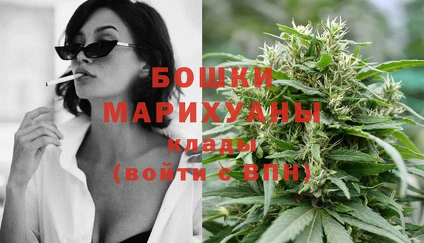ГАЛЛЮЦИНОГЕННЫЕ ГРИБЫ Белокуриха