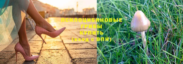 винт Белоозёрский