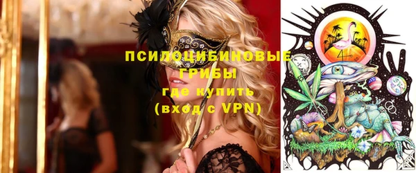 ГАЛЛЮЦИНОГЕННЫЕ ГРИБЫ Белокуриха