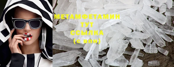 ГАЛЛЮЦИНОГЕННЫЕ ГРИБЫ Белокуриха