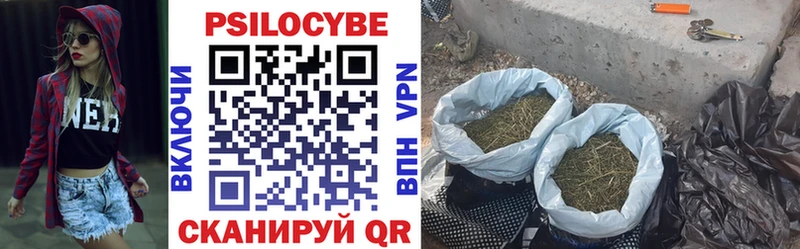 Галлюциногенные грибы ЛСД Малая Вишера